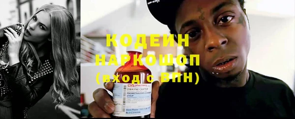 шишки Медвежьегорск