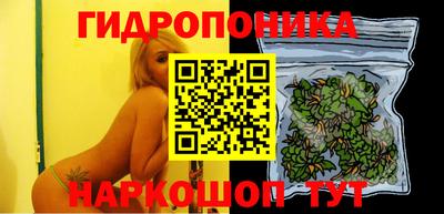 прущие грибы Беслан